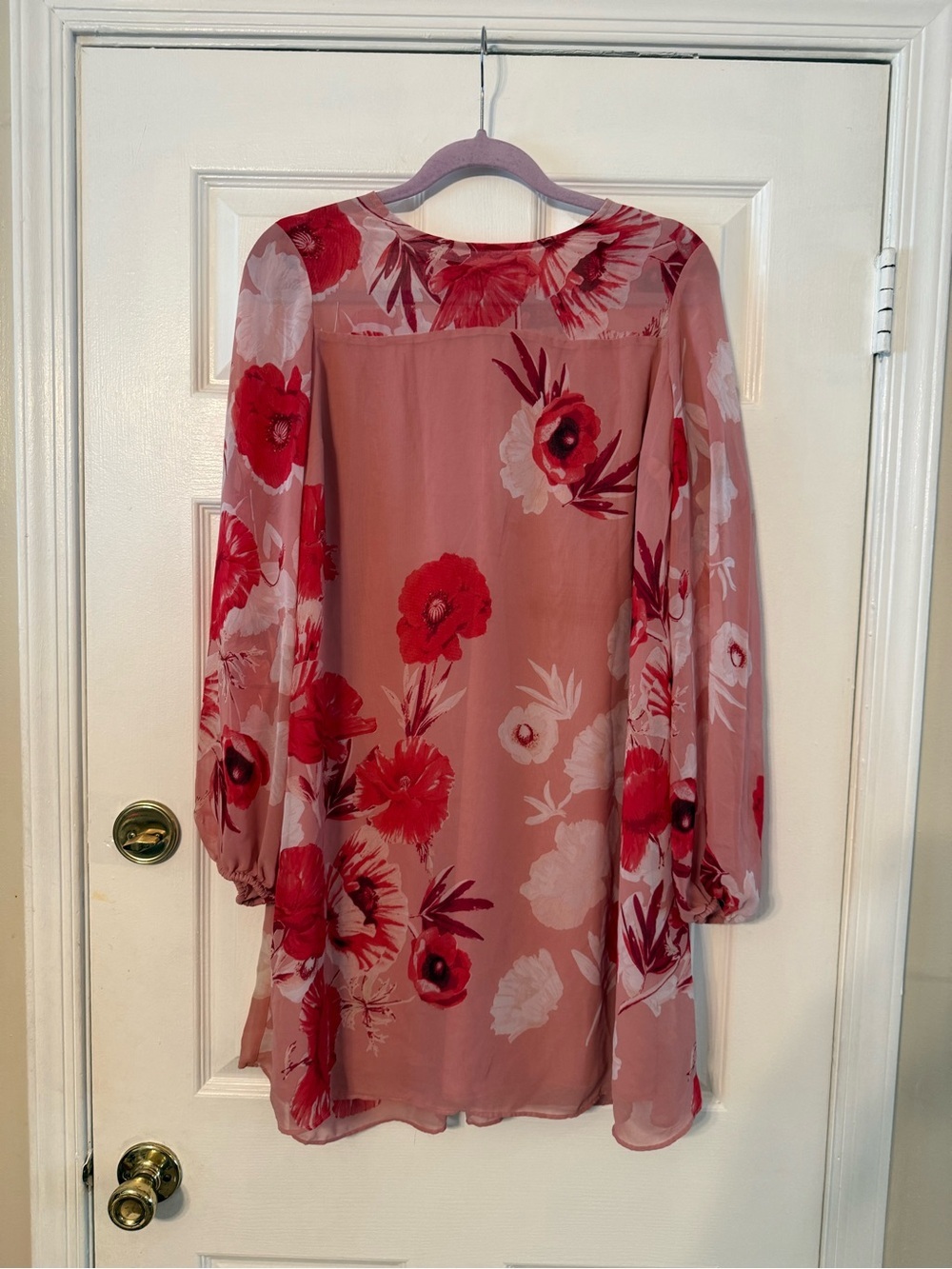 eva mendes for New York & Company Pink Dress with Red Floral Print